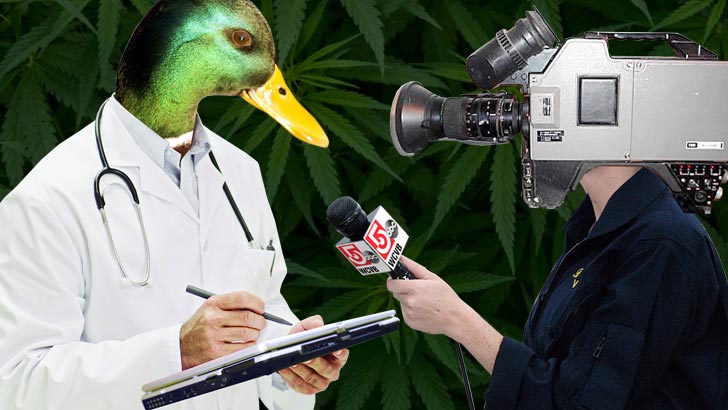 BT_MarijuanaQuacks_728